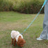 7FT Chew Proof Stretch Dog Leash Cable, Reflective Anti-Pull with Soft Wide Nylon Handle for Small Dogs, Blue