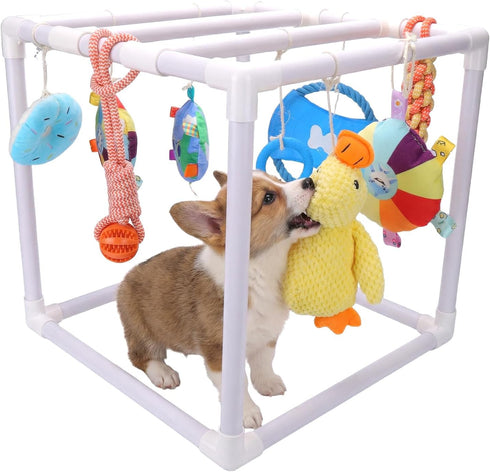 BABORUI Puppy Play Gym, Indoor Hanging Activity with 9 Toys, Puppy Toys