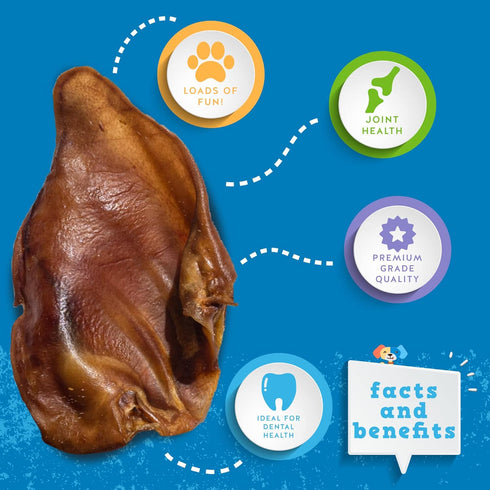 Jack&Pup Extra Thick Whole Pig Ears for Dogs - Premium Natural Pork Chews, 10 Pack, Excellent Rawhide Alternative