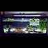 Large Breeder Net for Fish Tank, Fish Hatchery Separation Net Mesh with Suction Cup