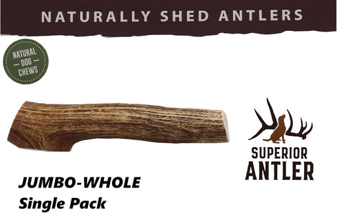 1-GIANT-JUMBO Whole Elk Antler for Dogs - All Natural Premium Grade A Chew for Dogs 60-90+ Lbs