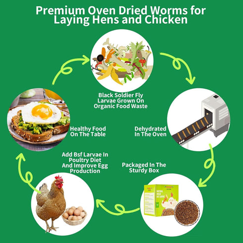 KAYHEN 10LB Dried Black Soldier Fly Larvae Non-GMO BSF Larvae for Chickens More Calcium Than Mealworms High-Protein