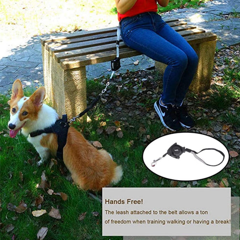 Alipis Automatic Retractable Dog Leash - Hands-Free Dog Walking Leash, Telescopic Traction Rope for Running and Hiking