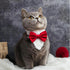 ZTON Handcrafted Adjustable Formal Pet Bowtie Collar Neck Tie for Dogs & Cats (L, Red)