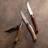 Opinel Effile Slimline Series Folding Fillet Knife with Virobloc Locking Collar and Sustainably Harvested Wood Handles