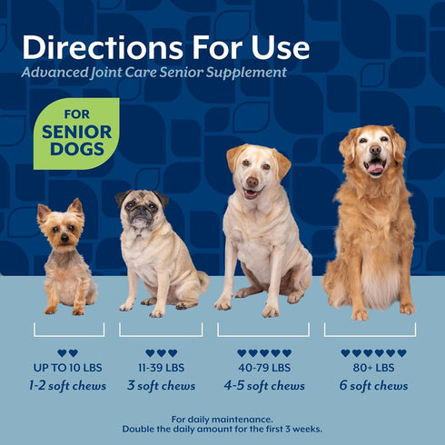 60 NaturVet Senior Advanced Joint Health Dog Supplement Includes Glucosamine, MSM, Chondroitin, Collagen Helps Supports