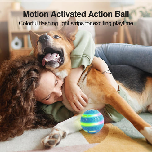 ALL FOR PAWS Interactive LED Dog Ball, Motion Activated Moving Toy for Day/Night Play, USB Rechargeable