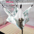 LEFTSTARER Bunkbed Sugar Glider Hammock, Medium Green-Heart, Small Pet Cage Accessories for Ferrets, Chinchillas,