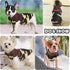 Dog Vest Sweater Pullover Sweatshirt Jacket for Small Dogs, Coat for XXS XS S Dogs Boy Girls, Chihuahua Teacup Yorkie