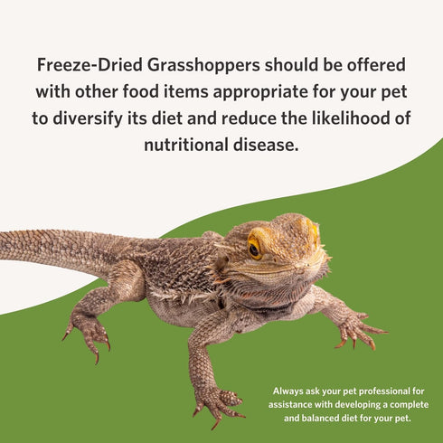 Fluker's Nutrient-Packed Freeze Dried Grasshoppers, Ideal for Lizards, Reptiles, Birds, Fish, Hedgehogs, 1.7 oz