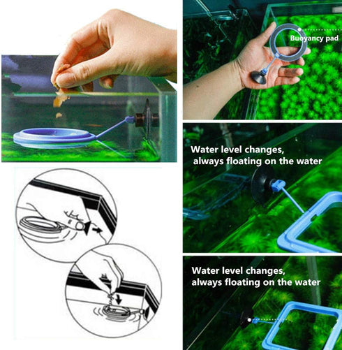 2 Pcs Fish Feeding Ring, Blue Floating Food Feeder Circle with Suction Cup for Aquarium, for Guppy, Betta, Goldfish