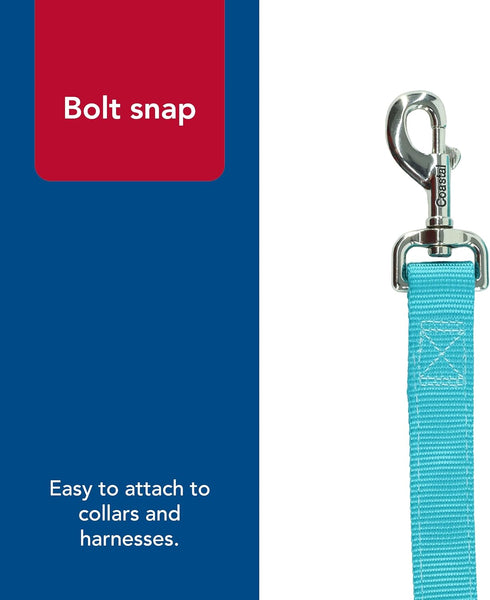 Coastal Pet Double-Ply Dog Leash, Bolt Snap Attachment, Nylon Walking Leash for Small, Medium, Large Dogs (Teal, 1" x