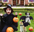 Halloween Dog Costume, Pet Bat Wings for Medium & Large Dogs, Adjustable Bat Wing Cosplay Apparel with Leash and Bells