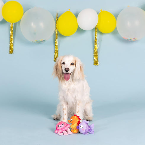 Fringe Studio Plush Dog Toy Set, IT’S A WATERFUL Life, 3 Piece Set for Small Dogs (662009), Multicolor