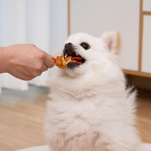 MON2SUN 21.2oz (30 Count Pack 1) Rawhide Free Dog Treats, Chicken Wrapped Carrot Snacks, Healthy and Natural Chews