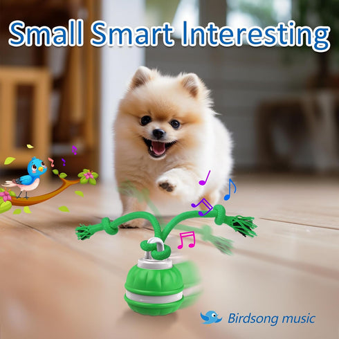 Sofolor Motion-Activated Rolling Ball Toy for Small Dogs - Interactive Squeaky Fun