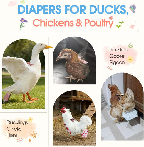 QBLEEV Duck Diapers for Pet Ducks & Chickens, Reusable Chicken Diaper for Indoor Poultry, Waterproof Breathable Baby
