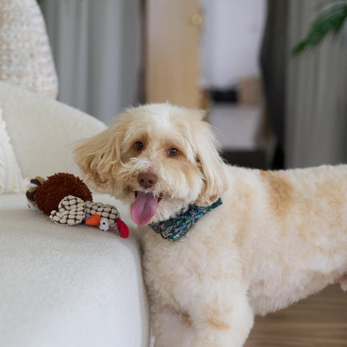 SPOT 12" Gigglers Chicken Dog Toy with Giggle Sound, Textured Plush Tug Toy with Rope Legs, for Small and Medium Dog