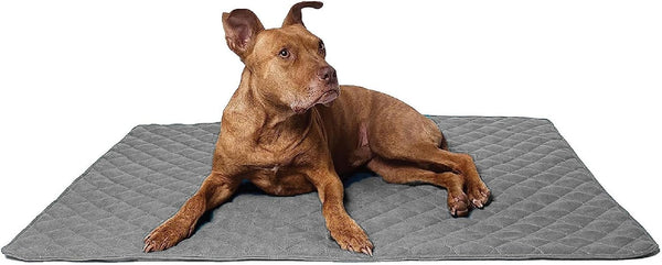 Waterproof Blanket for Dogs, 35" x 35" Anti-Slip Pet Mat Cover for Sofa, Chair, and Furniture Protection
