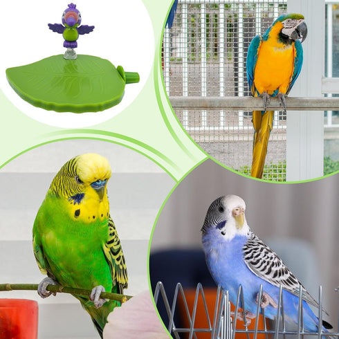 Generic Macaws,Sparrow,Parakeet,Lovebird,Conures,Cockatiels,Finches Bird Perch Toy | Cactus Design Chew-Resistant Bird