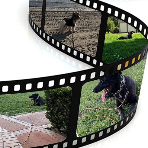 BTINESFUL Dog Tie-Out Long Tether Rope, 8ft/12ft/20ft/30ft/50ft/75ft, Outdoor Leash for Large Medium Small Dogs