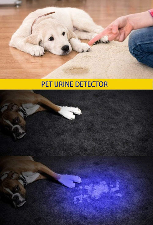 DARKBEAM 2 Pack UV 395nm Flashlight Blacklight Mini Detector for Dog/Cat Urine Stains and Anti-counterfeiting