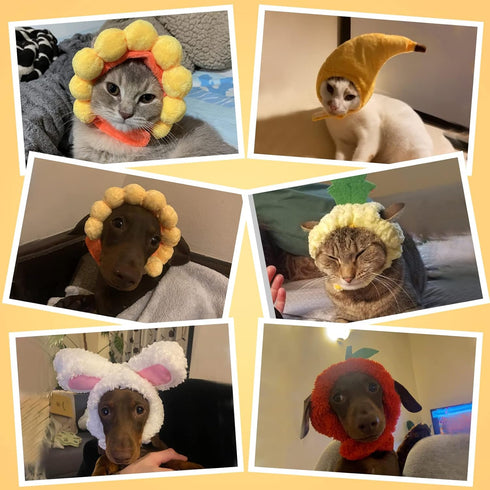 Weewooday 5 Pieces Cat Costume - Easter Bunny Hat Outfit with Ears for Funny Cat and Small Dogs Kitten Puppy Party