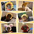 Weewooday 5 Pieces Cat Costume - Easter Bunny Hat Outfit with Ears for Funny Cat and Small Dogs Kitten Puppy Party