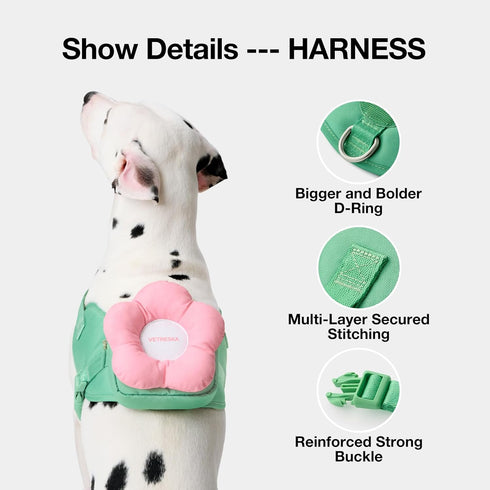 VETRESKA Flora Dog Harness, Leash and Collar Set | No Pull Vest Harness for Walking and Training, Adjustable, M