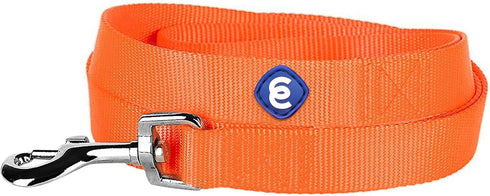 Blueberry Pet Essentials Florence Orange Dog Leash - 4' * 1" for Large Dogs | Heavy Duty Nylon Lead for Walking &