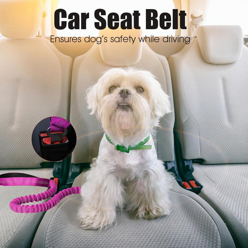 BUMBIN 6Ft Bungee Dog Leash for Large Dogs, Heavy Duty with 2 Handles, No Pull Shock Absorbing, Pink