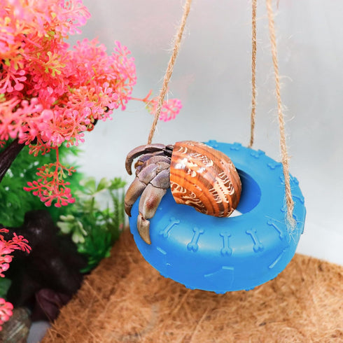 Hermit Crab Tire Swing Toy - Climbing Toy and Aquarium Decoration for Small to Medium Sized Hermit Crabs