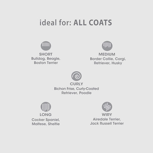 Four Paws Magic Coat Dog Shampoos - Dog Grooming Supplies Made in USA