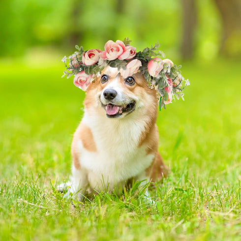Dog Wedding Flower Collar, Pink Floral Wreath Bow for Female Pets, Valentine's Day Party Photo Props, Large