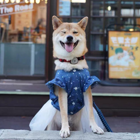 Polka Dot Big Large Dog Princess Dress Tutu Skirt, Summer Dog Clothes Hoodie Costume for Golden Retriever Pitbull (XXL,