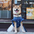 Polka Dot Big Large Dog Princess Dress Tutu Skirt, Summer Dog Clothes Hoodie Costume for Golden Retriever Pitbull (XXL,
