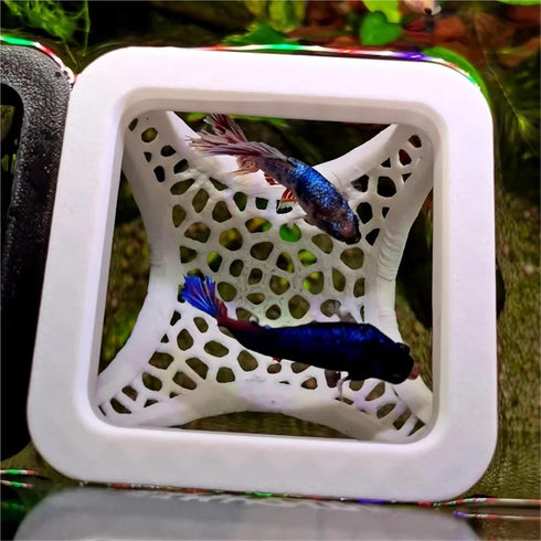 Bingche 2pcs 3-in-1 Hammock Aquarium Floating Cave Fish Shrimp Hideout Shelter Feeding Ring and Resting Spot(Black)