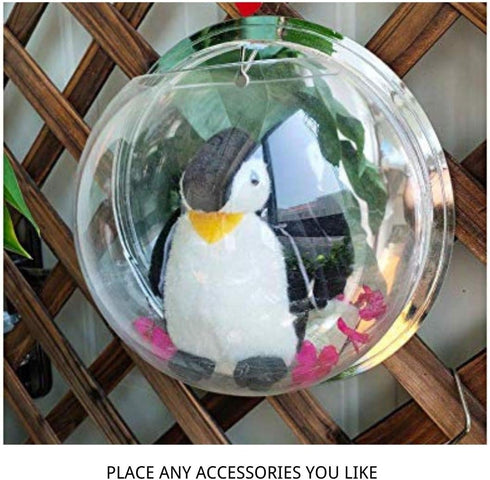 Creative Acrylic Hanging Wall Mounted Fish Tank, Mini Aquarium Planter for Home Decor