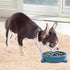 2 Pack Non-Slip Slow Feeder Dog Bowls, Durable Puzzle Feeder for Puppy and Small Dogs, 1 Cup, BPA Free