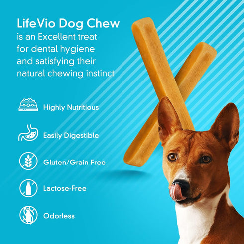 Medium Dog Chews, Himalayan Yak Cheese, 100% Natural with Pink Salt and Lime Juice, Long Lasting (1 Stick)
