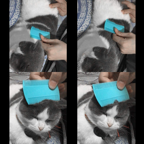 Flea Comb for Cats, 4 Pcs Lice Comb for Dogs, Double Sided Cat Comb for Short Hair by MoHern