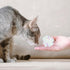 AUEAR 20 Pack Dye Free Cat Crinkle Balls 2" Mylar Sounds Shiny Glitter for Cats