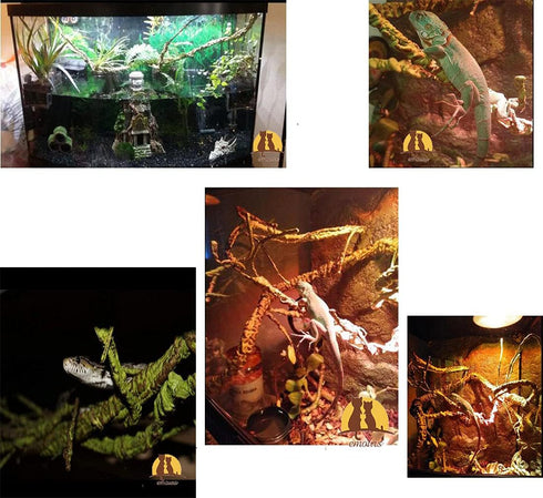 emours Flexible Realistic Jungle Vines Pet Habitat Decor - 3.6ft Long for Lizard, Frogs, Snakes, Chameleons, and More