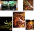 emours Flexible Realistic Jungle Vines Pet Habitat Decor - 3.6ft Long for Lizard, Frogs, Snakes, Chameleons, and More