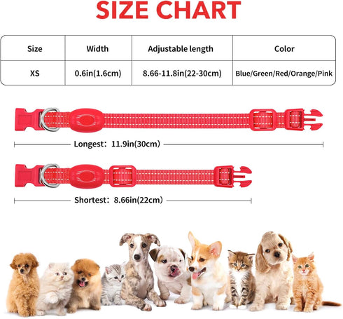 Illumifun Light Up Collar for Small Dogs, USB Rechargeable LED Dog Collar Glow in The Dark, Adjustable Cat Collar Light