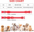 Illumifun Light Up Collar for Small Dogs, USB Rechargeable LED Dog Collar Glow in The Dark, Adjustable Cat Collar Light