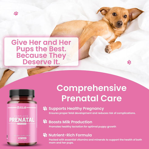 150 Kilab Complete Prenatal Vitamins for Dogs Tablets with Iron, Choline, Zinc, DHA & Probiotics - Supports Healthy