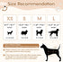 FurVeluxia 360Stretchy Period(M,60PCS) Dog Diapers Female, Pull It Up Disposable Puppy Diapers with Waist,Super