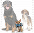 TUFFY World's Tuffest Soft Dog Toy - Ultimate Bone-Squeakers, Durable, Machine Washable, Camo Blue