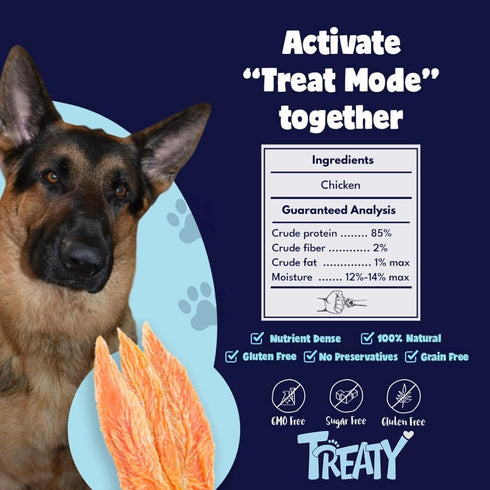 16 oz Treaty Chicken Jerky Dog Treats Limited One Ingredient Natural Dried Chicken Breast Healthy High Protein Dog